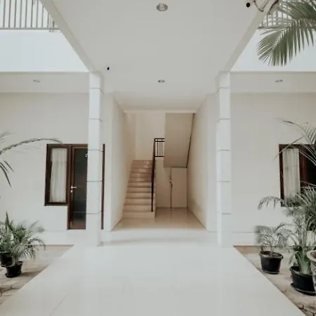 D'Paragon Flamboyan-2